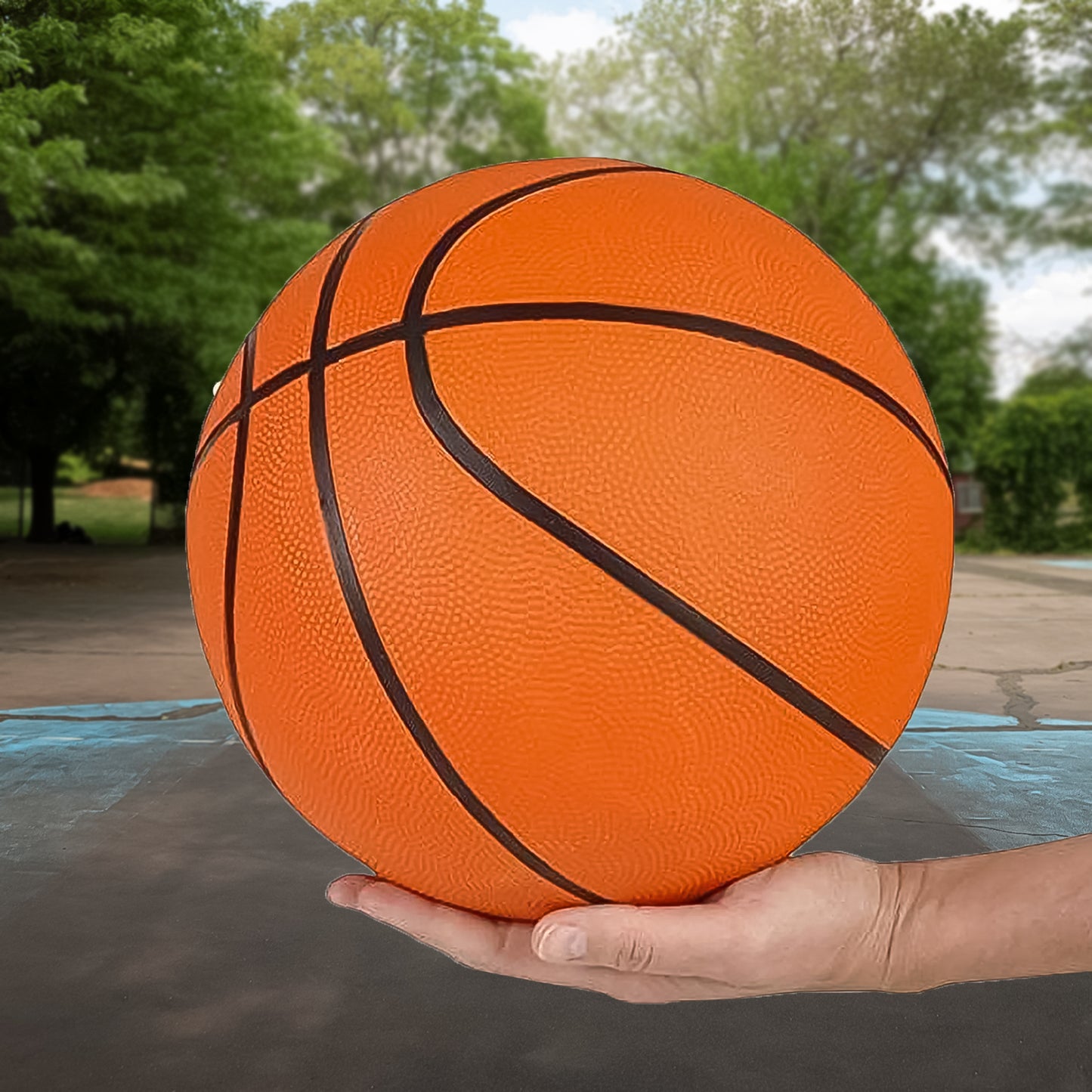 Mini Bouncy Basketball